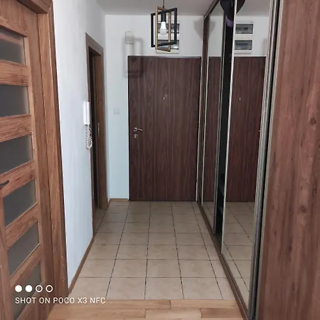 White Проживание в семье